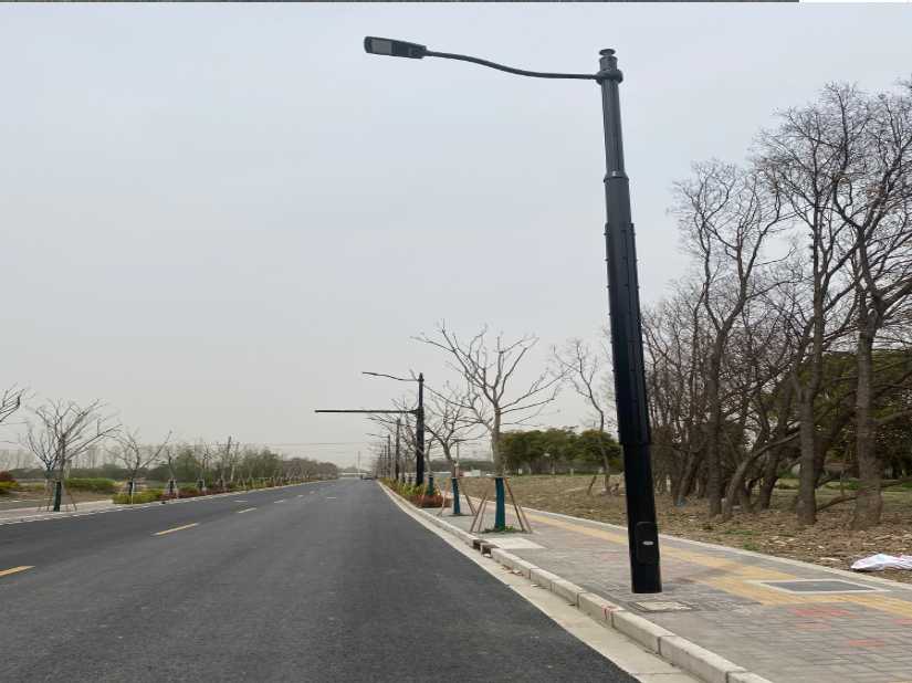 湾沚区上海综合杆 太阳能路灯工程